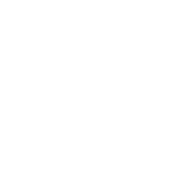 shop1 fullwidth product playicon Fullwidth Layout Video