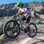 BIKESTAR MTB Mountain Bike Alluminio per Bambini 6 9 Anni Bicicletta 20 Pollici 7 velocita Shimano Hardtail Freni a Disco sospensioni Blu Verde 0 1 BIKESTAR MTB Mountain Bike Alluminio per Bambini 6-9 Anni | Bicicletta 20 Pollici 7 velocità Shimano, Hardtail, Freni a Disco, sospensioni | Blu Verde