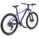 Bicicletta da montagna Eastern Bikes Alpaka 275 leggera a 9 velocita con freni a disco idraulici e forcella con sospensioni disponibile in 3 taglie telaio 17 Viola 0 0 Bicicletta da montagna Eastern Bikes Alpaka 27,5" leggera, a 9 velocità, con freni a disco idraulici e forcella con sospensioni, disponibile in 3 taglie telaio. (17", Viola)