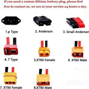 FREEDOH Batteria 48V E-Bike 20Ah 30Ah 40Ah Batteria al Litio E-Bike Batteria agli ioni di Litio per Motori per Biciclette da Montagna 250W-1800W,48v,40Ah - immagine 7