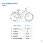 Fischer Viator 10 Bicicletta Elettrica Donna RH 44cm Ebike con Motore Posteriore 45Nm Batteria 48V Trekking E Bike Antracite Scuro Opaco 71 cm 0 1 Fischer Viator 1.0, Bicicletta Elettrica Donna | RH 44cm | Ebike con Motore Posteriore 45Nm | Batteria 48V Trekking | E-Bike, Antracite Scuro Opaco, 71 cm