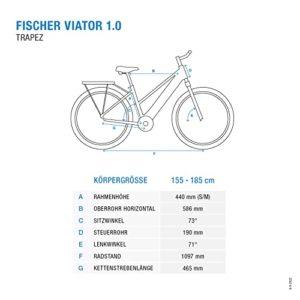 Fischer Viator 1.0, Bicicletta Elettrica Donna | RH 44cm | Ebike con Motore Posteriore 45Nm | Batteria 48V Trekking | E-Bike, Antracite Scuro Opaco, 71 cm - immagine 4