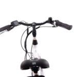 Flli Schiano E Moon 28 E Bike Bicicletta Elettrica da Citta Motore 250W da Donna con Cambio Interno Shimano Nexus 7 Marce Batteria al Litio 36V 13Ah removibile Colore Bianco 0 1 F.lli Schiano E-Moon 28" E-Bike, Bicicletta Elettrica da Città Motore 250W da Donna, con Cambio Interno Shimano Nexus 7 Marce, Batteria al Litio 36V 13Ah removibile, Colore Bianco