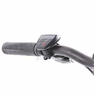 F.lli Schiano E-Sky 20" E-Bike, Bicicletta Elettrica Pieghevole per Adulti con Motore 250W e 7 velocità, Batteria al Litio 36V 7.8Ah estraibile, Colore Bianco - immagine 6