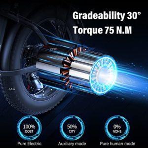 KETELES Fat Bike Bicicletta Elettrica Pieghevole, 20" Bici Elettrice con Pedalata Assistita, City Bike con 48V/18A Batteria Rimovibile, Hydraulic Disc Brake,per Uomo Donna 10 KETELES Fat Bike Bicicletta Elettrica Pieghevole, 20" Bici Elettrice con Pedalata Assistita, City Bike con 48V/18A Batteria Rimovibile, Hydraulic Disc Brake,per Uomo Donna - immagine 3