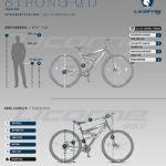 Licorne Bike Strong 2D Premium Mountain Bike Bicicletta per ragazzi ragazze donne e uomini Freno a disco anteriore e posteriore 21 marce Sospensione completa nerolime 2900 0 4 Licorne Bike Strong 2D Premium Mountain Bike Bicicletta per ragazzi, ragazze, donne e uomini – Freno a disco anteriore e posteriore – 21 marce – Sospensione completa (nero/lime, 29.00)