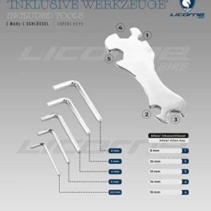 Biciclette e accessori con spedizione gratuita, ciclismo 17 Licorne Bike Stella Premium City Bike da 24 pollici, bicicletta per ragazze, ragazzi, uomini e donne, cambio a 21 marce, bicicletta olandese, antracite (26 pollici, antracite)