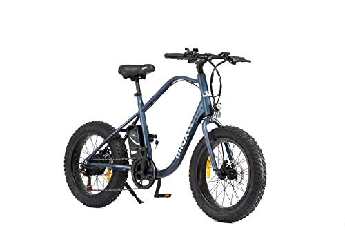 Nilox E Bike J3 Plus Bici Elettrica con Pedalata Assistita Autonomia 70 km Fino a 25 kmh Brushless High Speed 250 W Batteria al Litio 36 V 128 Ah Ruote 20 Fat Cambio 7 Marce Freni a Disco 0 Nilox, E-Bike J3 Plus, Bici Elettrica con Pedalata Assistita, Autonomia 70 km, Fino a 25 km/h, Brushless High Speed 250 W, Batteria al Litio 36 V 12.8 Ah, Ruote 20” Fat, Cambio 7 Marce, Freni a Disco