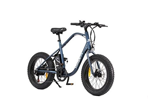 Nilox E Bike J3 Plus Bici Elettrica con Pedalata Assistita Autonomia 70 km Fino a 25 kmh Brushless High Speed 250 W Batteria al Litio 36 V 128 Ah Ruote 20 Fat Cambio 7 Marce Freni a Disco 0 Prodotti