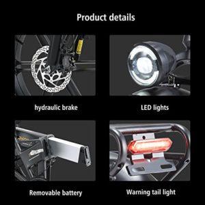 R7PRO - Mountain bike elettrica pieghevole, 20 * 4.0'' con pneumatici grassi, bici elettrica da 48 V 16 Ah, batteria rimovibile, display LCD, Shimano a 8 velocità (grigio) 12 R7PRO - Mountain bike elettrica pieghevole, 20 * 4.0'' con pneumatici grassi, bici elettrica da 48 V 16 Ah, batteria rimovibile, display LCD, Shimano a 8 velocità (grigio) - immagine 5