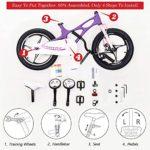 RoyalBaby Space Shuttle, Bicicletta in Alluminio Unisex, Viola, M 20 RoyalBaby Space Shuttle Bicicletta in Alluminio Unisex Viola M 0 3 RoyalBaby Space Shuttle, Bicicletta in Alluminio Unisex, Viola, M
