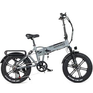 SAMEBIKE Bicicletta Elettrica 20 Pneumatici Grassi Mountain Bike Pieghevole Per Adulti e Ragazzi Ebike 48V10 Ah Shimano 7 Velocita 0 SAMEBIKE Bicicletta Elettrica 20" Pneumatici Grassi Mountain Bike Pieghevole Per Adulti e Ragazzi Ebike 48V/10 Ah Shimano 7 Velocità