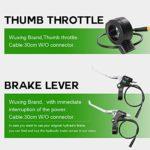 YOSE POWER 28700c ebike 36V250W Motore Anteriore Bicicletta E Bike Hub di Conversione Kit con Controller Integrato HL Plus 36V 156Ah Batteria FAI DA TE E bike Display LCD 0 3 YOSE POWER 28''(700c) ebike 36V250W Motore Anteriore Bicicletta E-Bike Hub di Conversione Kit con Controller Integrato HL Plus 36V 15.6Ah Batteria FAI DA TE E-bike Display LCD