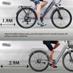 nakxus Bicicletta elettrica 26M208 bicicletta elettrica da 26 da trekking con batteria al litio da 36 V 125 Ah fino a 100 KM motore da 250 W compatibile con lUE colore grigio 0 4 nakxus Bicicletta elettrica 26M208, bicicletta elettrica da 26", da trekking, con batteria al litio da 36 V, 12,5 Ah, fino a 100 KM, motore da 250 W, compatibile con l'UE, colore: grigio