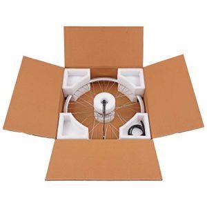 windmeile | E-Bike Mozzo Motore Ruota Anteriore, A Raggi, Argento, 28', 48V/250W, E-Bike, Bici Elettrica, Pedelec - immagine 4