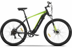 Argento Performance Mountain e-bike, Bici Elettrica, Batteria 468W, Motore 250W, Cambio Shimano 7 rapporti, Freni a Disco, Ru