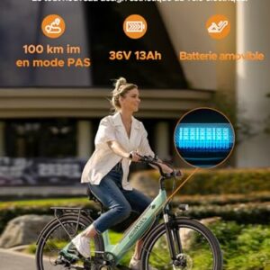 HillMiles Bici Elettrica Per Adulti Da 26", 7 Velocità Bicicletta Elettrica da 36V 13Ah Batteria Rimovibile, 25km/h & Autonom - immagine 4