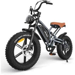 JANSNO Bicicletta Elettrica 20" x 4.0 Fat Tire, 7 Velocità Bici Elettrica, Freni a Disco Meccanici Anteriori e Posteriori, E-