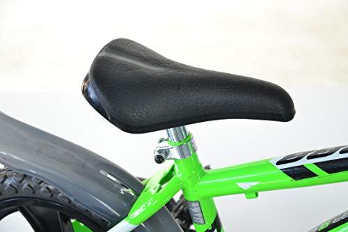 B01MDS5VHF gal 1 69cfa3b4afe6a Dinobikes Bicicletta 12 bambini ragazzi