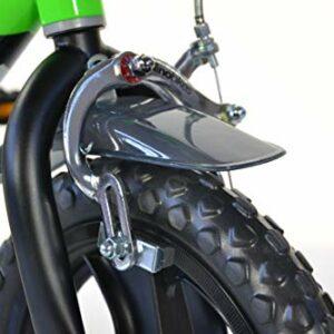Dinobikes Bicicletta 12 bambini ragazzi - immagine 5