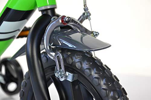 B01MDS5VHF gal 3 69cfa3b88e2a6 Dinobikes Bicicletta 12 bambini ragazzi