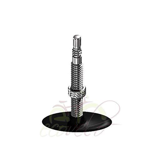 ECOVELO 2 CAMERE D'ARIA 700 x 35/38 / 42 (28") CON VALVOLA REGINA ITALIA PER CITY BIKE BICI BICICLETTA 4 B088WH8862 gal 3 69cf9f9f19a96 ECOVELO 2 CAMERE D'ARIA 700 x 35/38 / 42 (28") CON VALVOLA REGINA ITALIA PER CITY BIKE BICI BICICLETTA