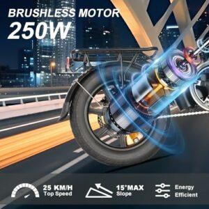 Bodywel T16Pro Bici Elettrica Pieghevole 14" Leggera Adulti/Ragazzi, Batteria 36V 10Ah + Motore 250W, 3 Velocità, Display LED - immagine 4