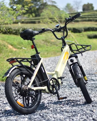 B0F8ZXSTVR gal 3 69d0bd425b6fc KAISDA Bicicletta Elettrica Pieghevole Pedelec 20 Pollici, Doppelakku 36V20.8Ah, Autonomia 45-90KM, Leggera 33KG, IPX6 Imp...