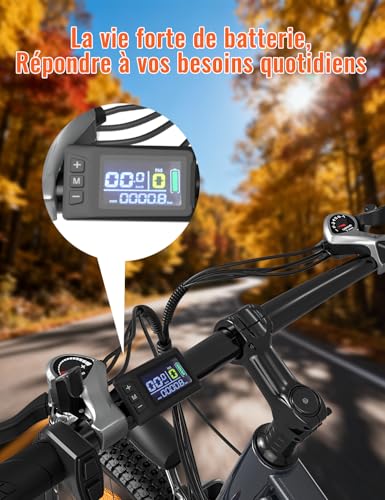 B0GD73PG5P gal 1 69cf8178d399b Bicicletta elettrica per adulti, VTC e MTB elettrica 29", motore 250 W con batteria 48 V 18,6 AH, 21 velocità e forcella r...